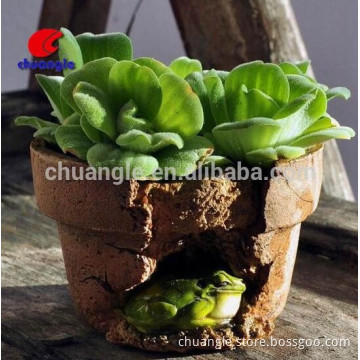 Craft Home Decoration,Oem Resin Craft